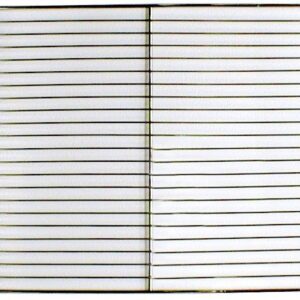 Belshaw Glazing Screen for HG 18C/ HG 18EZ – 17″ x 25″ Pack of 12 Screens